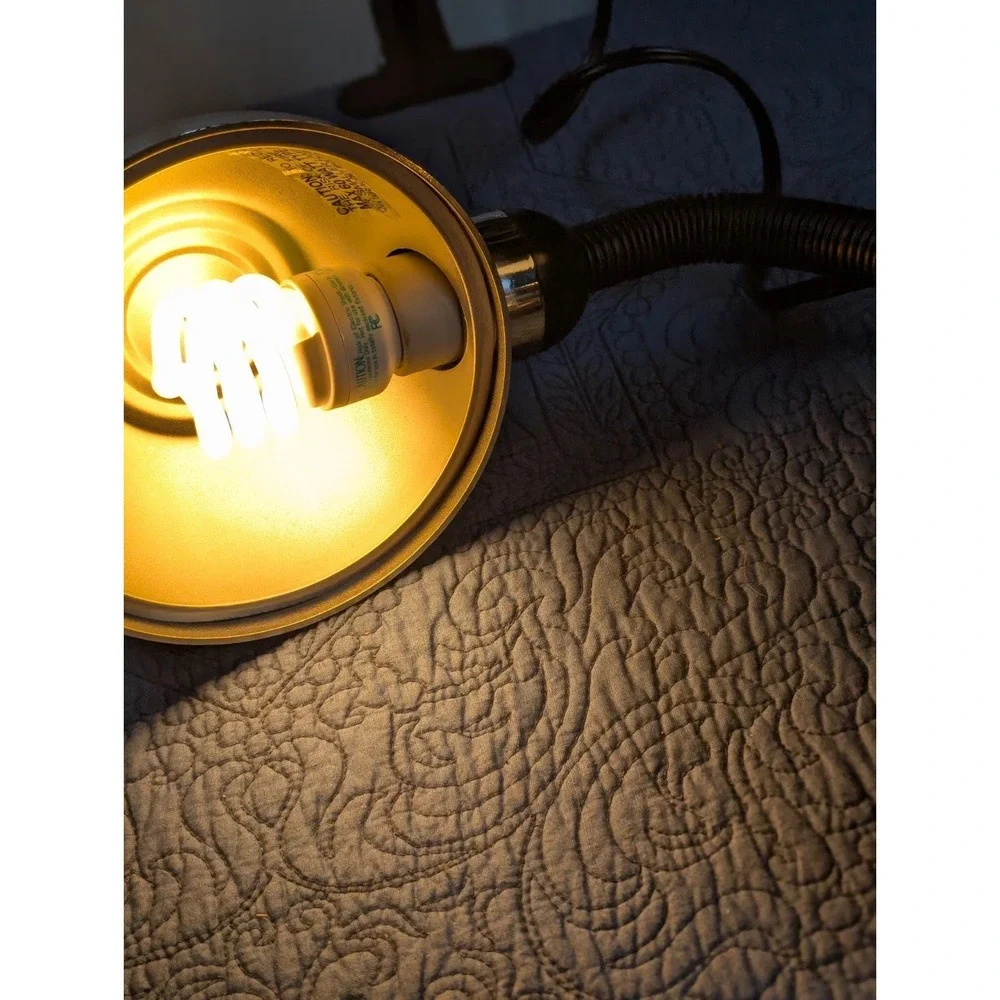 Vintage Bauhaus Style Chrome Dome Desk Lamp | Mid Century Space Age Task Light